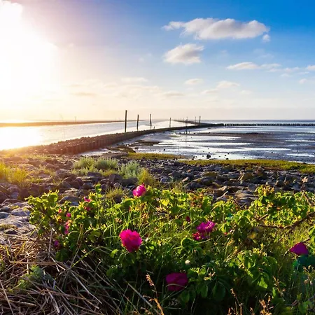 Nordstern בית נופש